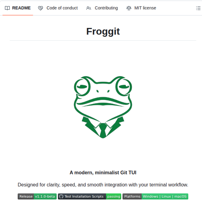 Thewizardshell Froggit screenshot