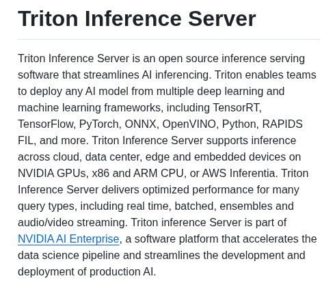 Triton Inference Server Server screenshot