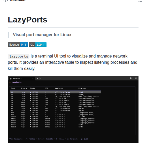 V9mirza Lazyports screenshot