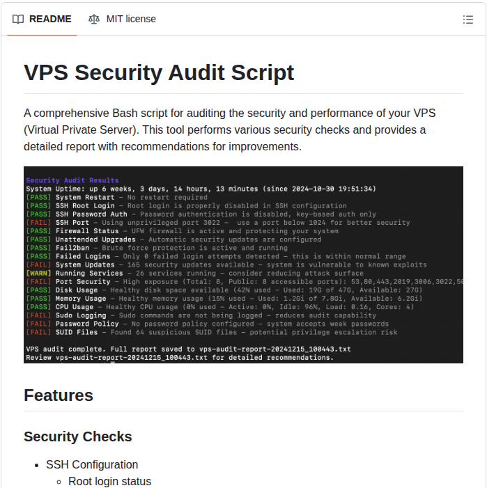 Vernu Vps Audit screenshot