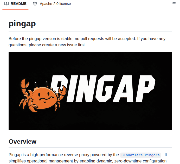 Vicanso Pingap screenshot