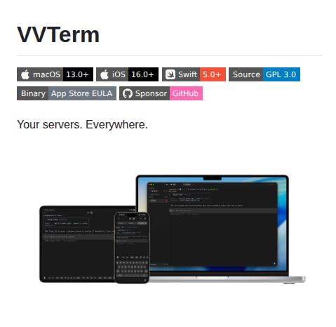 Vivy Company Vvterm screenshot