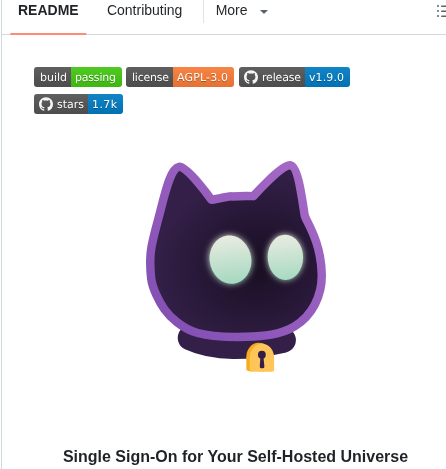 Voidauth Voidauth screenshot