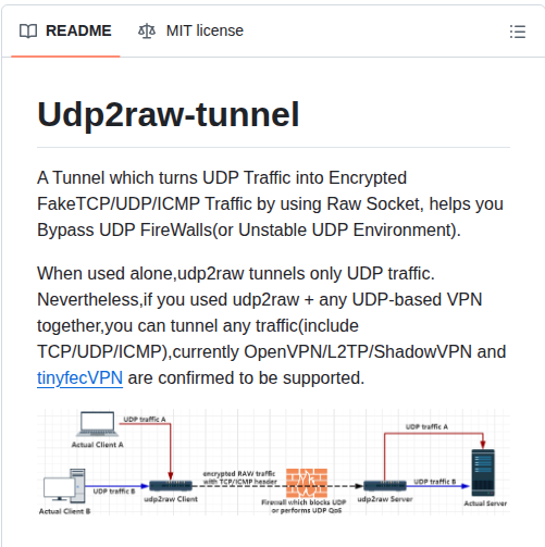 Wangyu Udp2raw screenshot